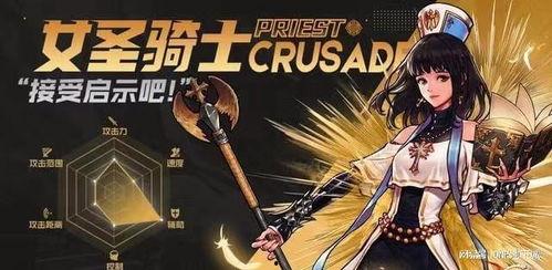 女圣骑视频,视频中的英勇与荣耀瞬间