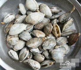 海鲜做法视频,轻松掌握美味海鲜烹饪技巧