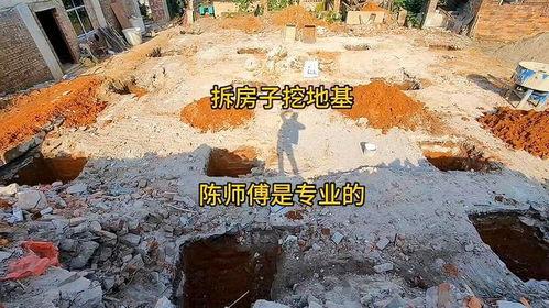 挖呀挖呀挖小小的种子视频,小小种子的成长之旅