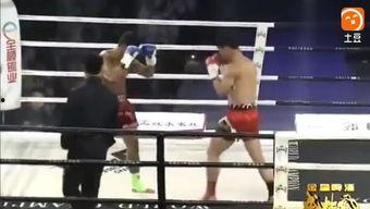 拳击礼视频,传承与尊重的瞬间