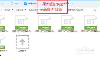 怎么把种子变成视频,探索视频制作的奇妙旅程
