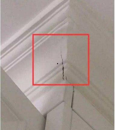 石膏线裂缝修补视频,视频教程带你轻松修复