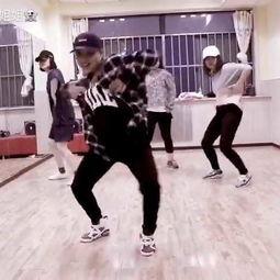 熊猫热舞视频,萌动全球的动感瞬间