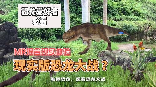 真实恐龙视频大全视频,真实恐龙视频大全揭秘史前巨兽风采