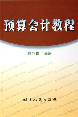 预算会计视频,深度解析与实操技巧