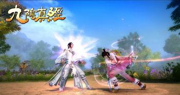 九阴真经天罗舞视频,揭秘绝世武功的神秘面纱