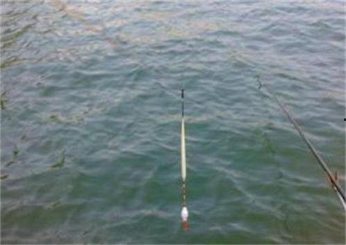 钓漂找底视频,视频教学带你轻松掌握