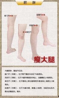 廋腿视频,跟廋腿视频一起打造完美曲线