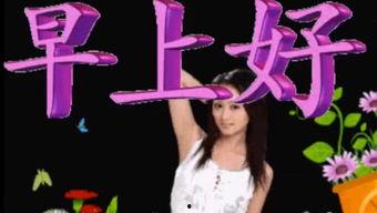 早上好 视频,开启美好一天的心灵之旅