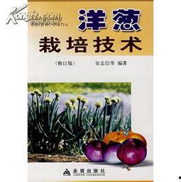 种植洋葱视频,从播种到收获的实用指南
